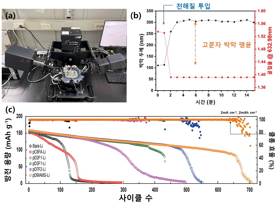 그림 3. 전해질 팽윤율 측정과 Li-NMC 완전셀의 성능 평가