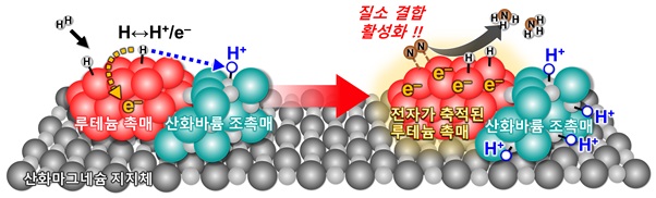 그림 1. 산화바륨 조촉매의 루테늄 촉매 활성 증긴 기작을 나타내는 연구 모식도