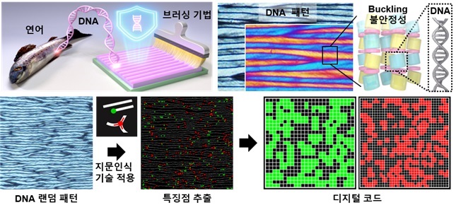 그림 2. 연어에서 추출한 DNA 고분자를 이용해 제작한 보안 잉크기술