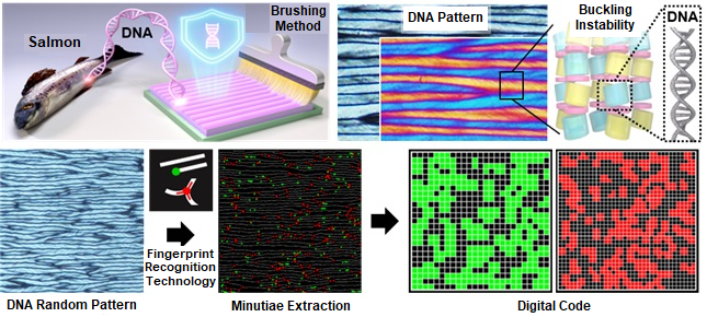 Technology to produce security ink using DNA polymers extracted from salmon