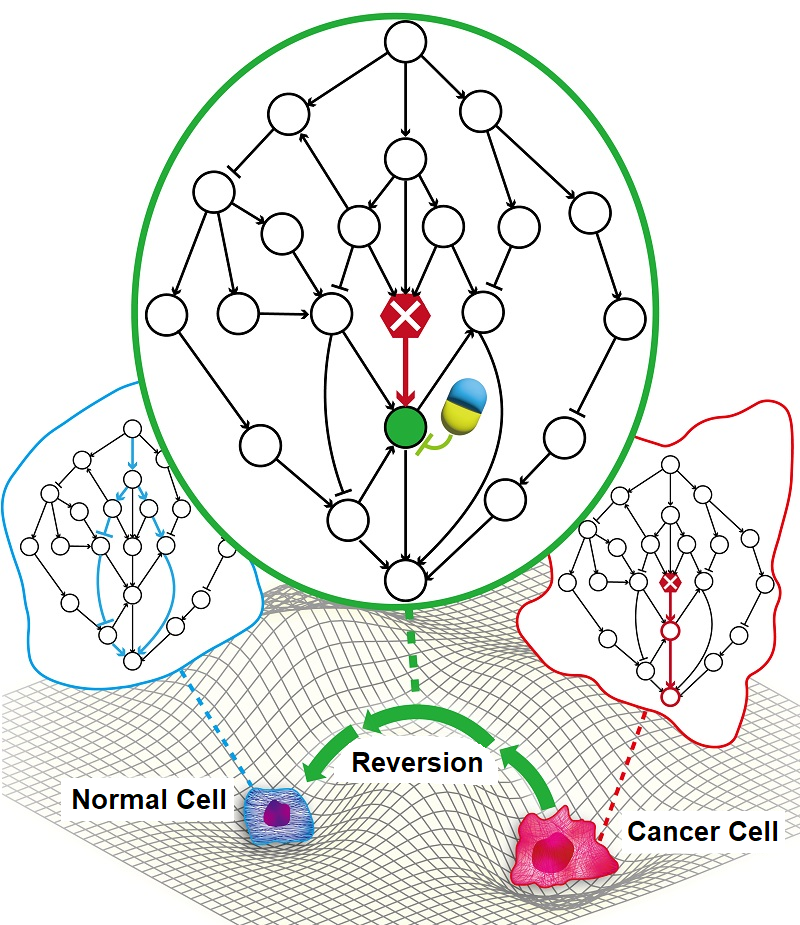 Conceptual diagram of research results 