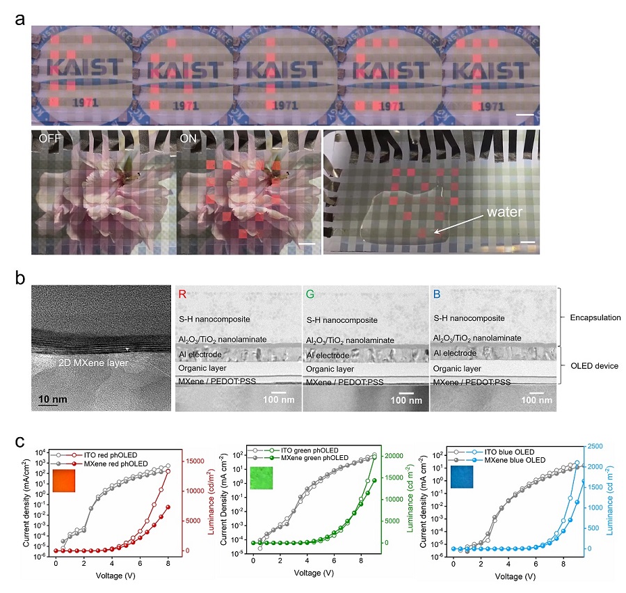 Results of MXene-based OLED