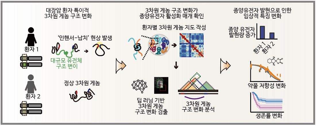 그림 1. 연구 모식도