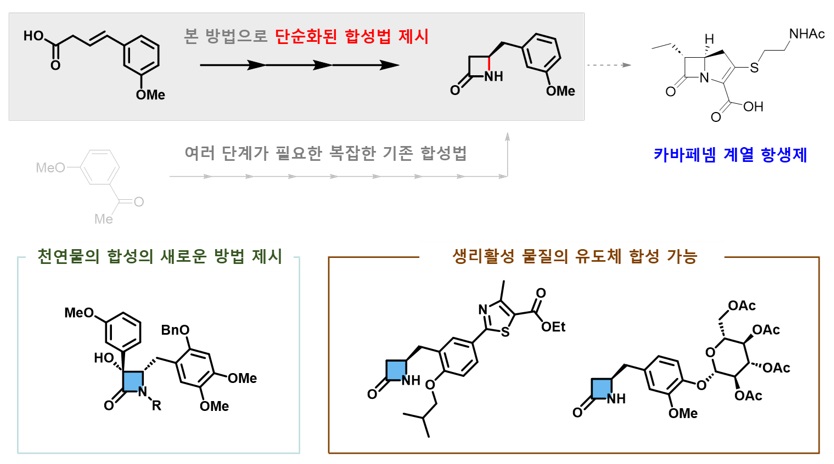 그림 2. 카이랄 베타-락탐 합성법의 응용. 연구진은 이번 연구를 통해 카이랄 베타-락탐을 포함한 의약품 및 천연물질의 합성 절차를 단축할 수 있음을 증명하였다. 또한, 복잡한 화합물의 후기-단계 기능화로 약물 후보물질을 간단하게 얻을 수 있음을 보여줌으로써 산업계에서의 실용화 가능성을 확인하였다.