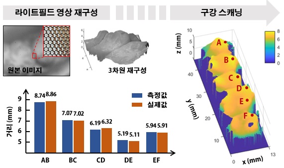 그림 2. 라이트필드 카메라 기반 구강 스캐너를 이용한 구강 모형의 3차원 영상 획득 결과