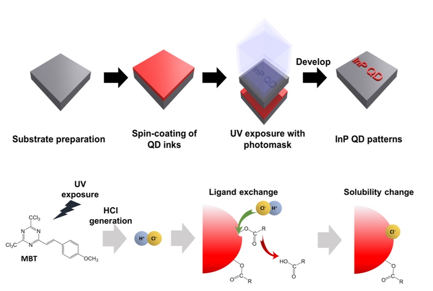 그림 2. 광산발생기 기반 직접 광학 패터닝의 원리 및 공정 개요도. 연구팀은 광산을 활용한 리간드 치환 공정을 통해 친환경 InP 양자점의 패터닝을 진행하였다