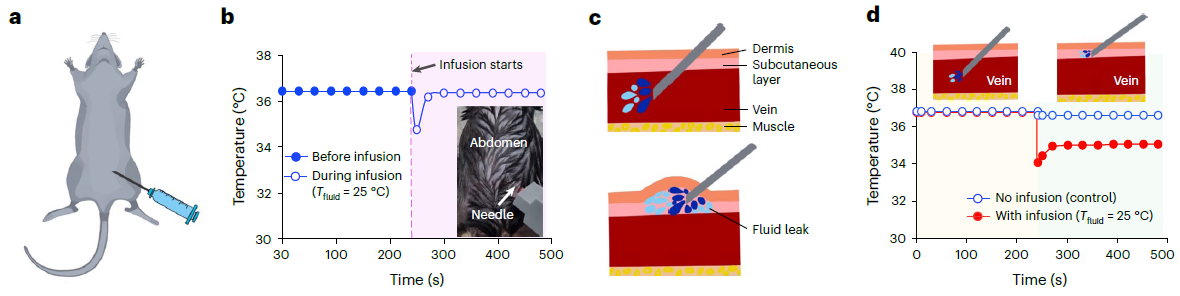 Conceptual images of potential utilization for temperature monitoring function of P-CARE needle