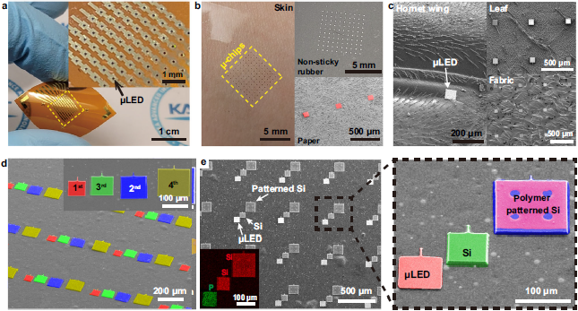 Universal transfer printing of thin-film semiconductors via μVAST.