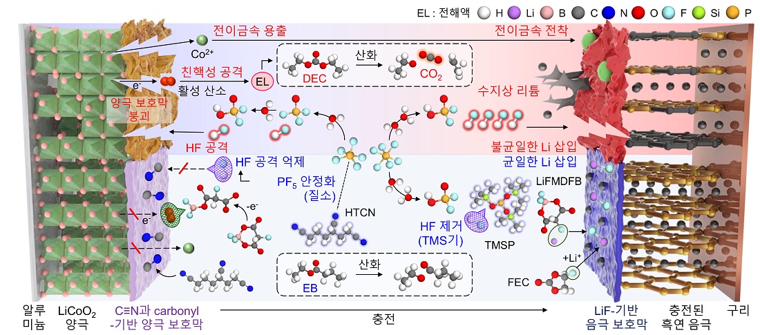 그림 1. (상단) 기준 전해액과 (하단) 개발 전해액 조성의 작동 메커니즘 모식도. DEC : diethyl carbonate, EB : ethyl butyrate, LiFMDFB : lithium fluoromalonato(difluoro)borate, FEC : fluoroethylene carbonate, HTCN : 1,3,6-hexanetricarbonitrile, TMSP : tris(trimethylsilyl) phosphite
