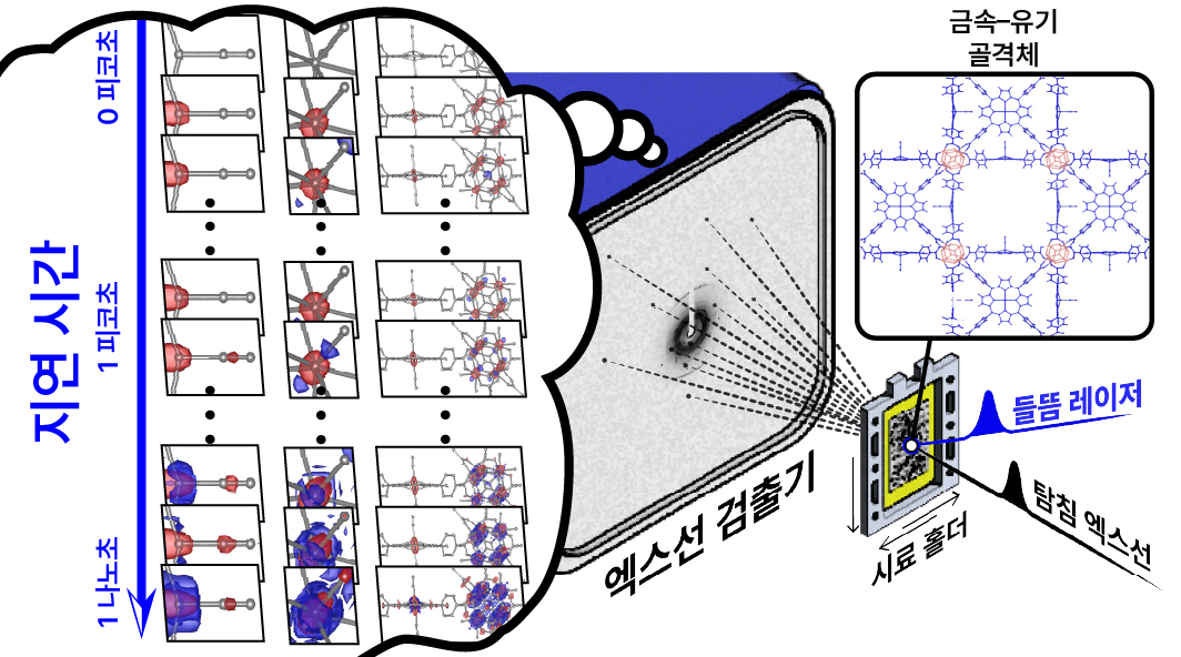 그림 1. 금속-유기 골격체에 대한 시간분해 연속 펨토초 결정학 실험 구성도. 실험을 위해 금속–유기 골격체에 강렬한 펨토초 자외선 레이저 펄스를 조사해 광해리 반응을 유도했다. 엑스선 자유 전자 레이저 시설의 펨토초 엑스선 펄스로 펨토초 및 옹스트롬 시공간 분해능으로 금속–유기 골격체 내의 철 포르피린과 지르코늄 클러스터의 초고속 구조 변화를 직접 시각화할 수 있었다. 광 해리반응 후 금속–유기 골격체의 분자 구조는 시간에 따른 초고속 엑스선 펄스가 만들어내는 엑스선 회절 패턴을 측정함으로써 관찰됐다.