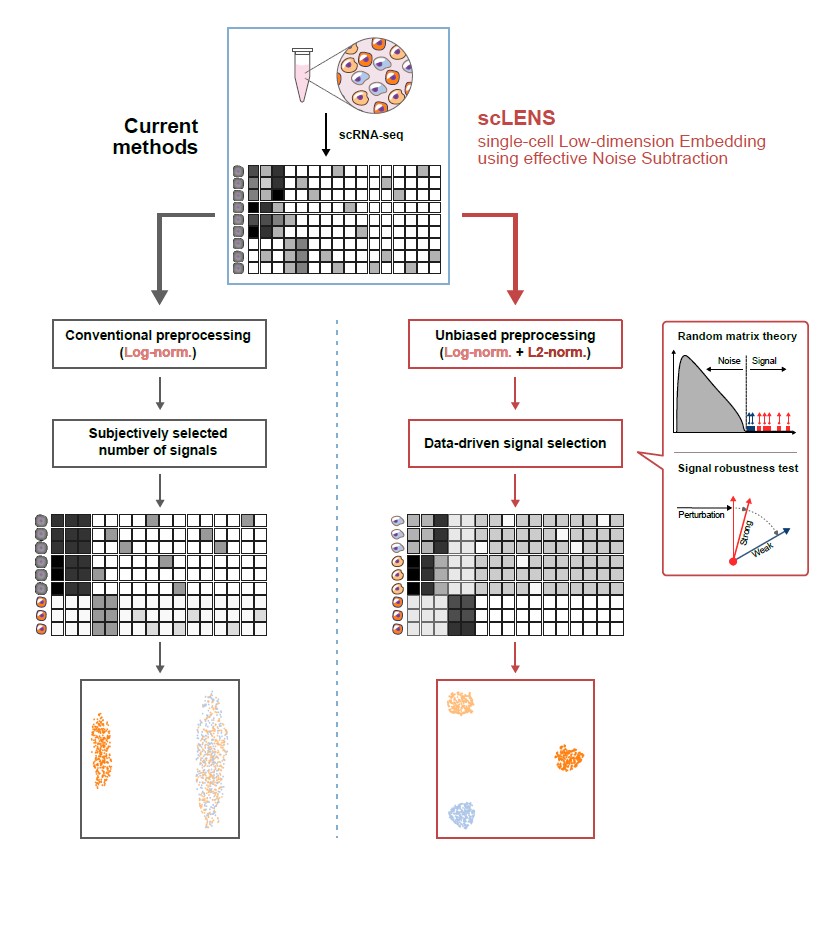 . Overview of scLENS (single-cell Low-dimensional embedding using the effective Noise Subtract)