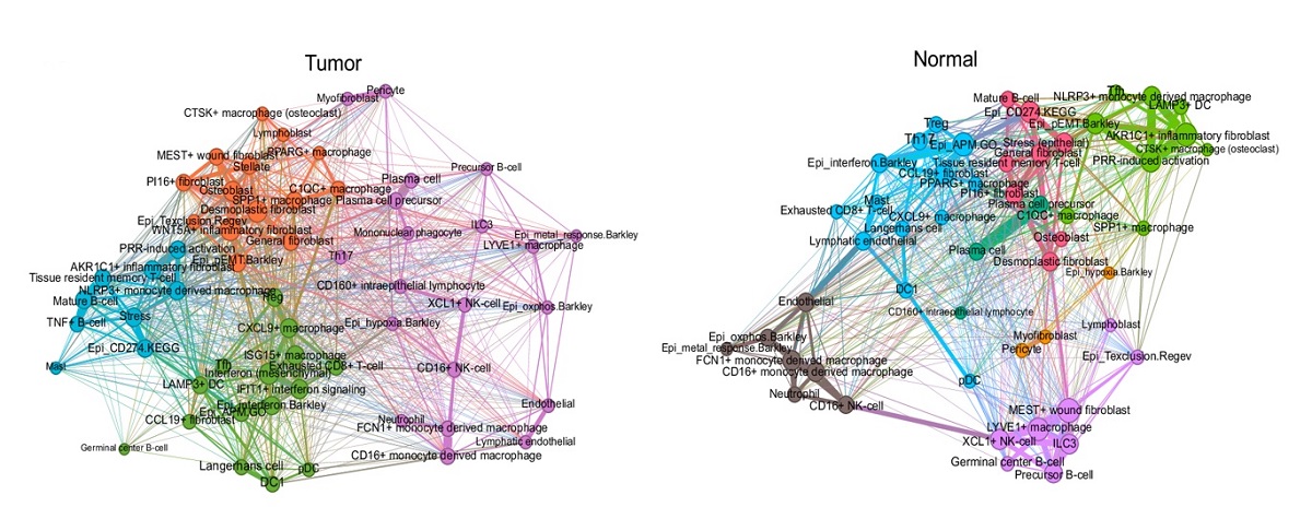그림 3. 암과 정상 조직의 세포 생태계 네트워크 비교