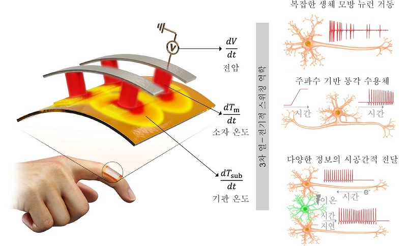 그림 1. 동적 열 상호작용이 가능한 유연한 기판에 통합된 NbO2 기반의 모트 전이 소자. 모트 전이 소자는 전압, 기판 온도, 모트 전이 소자 온도의 3차 열-전기적 스위칭 역학을 기반으로 한다. 이를 통해 복잡한 생체 모방 뉴런 거동, 주파수 기반 통각 수용체, 다양한 정보의 시공간적 전달이 가능하다. 