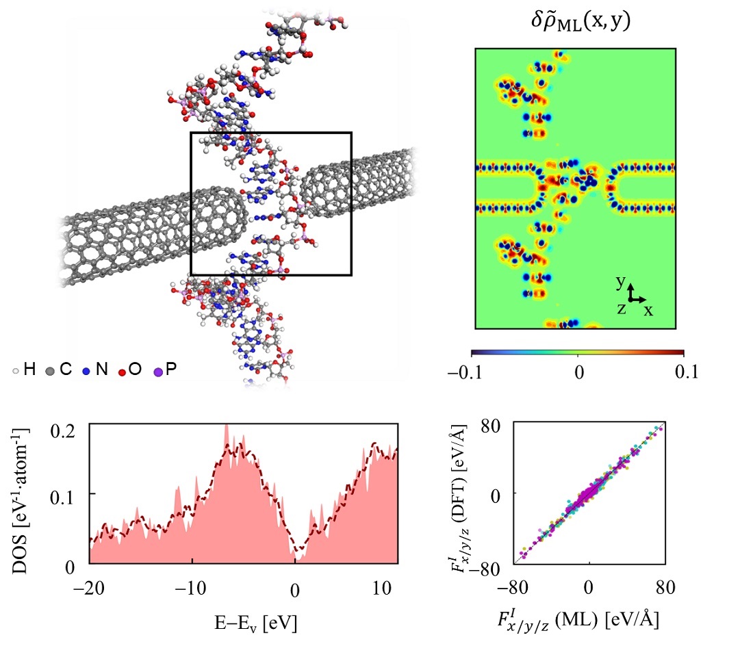 그림 3. 탄소나노튜브 기반의 DNA 염기서열 분석 소자 모델(상단 왼쪽)에 대한 딥SCF 방법론 적용 예시. 고전역학적 원자간 힘뿐만 아니라(하단 오른쪽) 화학 결합의 정보를 담고 있는 잔여 전자밀도(상단 오른쪽) 및 전자 상태밀도(density of states, DOS)와 같은 양자역학적 전자구조 특성들(하단 왼쪽)을 SCF 과정을 수행하는 표준 DFT 계산 결과에 대응되는 정확도로 빠르게 예측함.