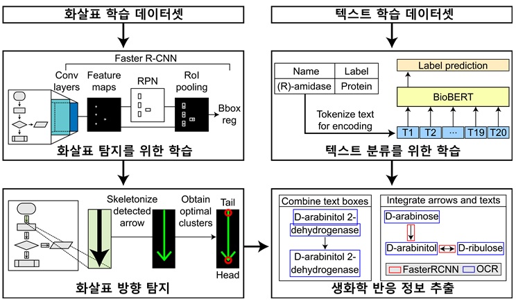 그림 1. 바이오 경로 이미지에서 생화학 반응 정보를 자동으로 추출하는 EBPI의 모식도