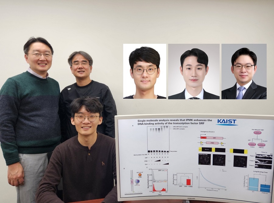 (왼쪽부터) KAIST 생명과학과 김세윤 교수, 이광록 교수, 안형준 박사, 유정민 박사, 조원기 교수, (아래) 류광민 박사과정