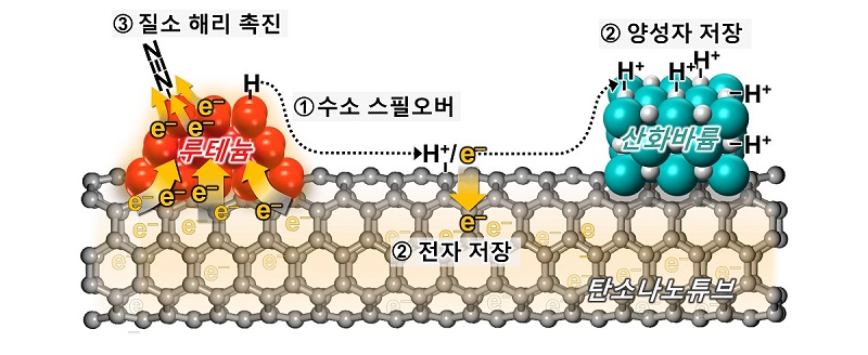 산화바륨 조촉매의 루테늄 촉매 활성 증진 기작을 나타내는 모식도