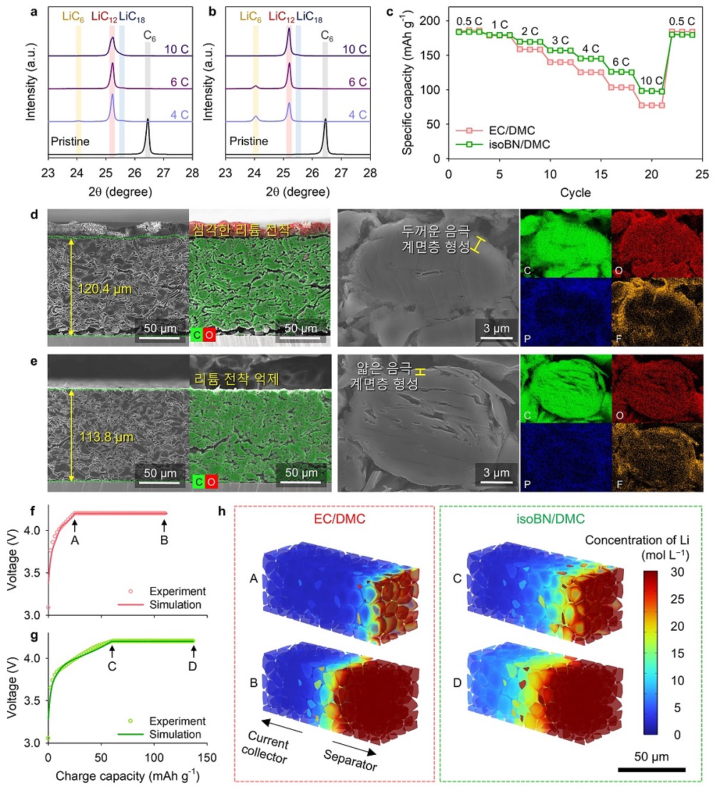 그림 3. 4C 고속 충전 300 사이클 후 (a) EC/DMC, (b) isoBN/DMC 흑연 음극 전착 리튬량 비교 및 단면 SEM/EDS mapping 비교 분석. 4C 충전 전압 곡선 시뮬레이션 (c) EC/DMC, (d) isoBN/DMC. (e) 4C 충전 전압에 따른 음극 내부의 Li 농도 분포 시뮬레이션.