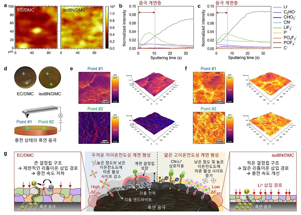 그림 4. (상단; a, b) EC/DMC와 isoBN/DMC의 프리사이클 후 흑연 음극 성분 ToF-SIMS 분석 및 음극 계면층 두께 비교. (중간; d-f) 프리사이클 후 리튬이 삽입된 흑연 음극의 ESM 분석을 통한 음극 계면층의 리튬 이온전도도 및 음극 계면층의 결정립 크기 비교. (하단; g) EC/DMC로 형성된 흑연 음극 계면층 및 isoBN/DMC로 형성된 흑연 음극 계면층 결정립 크기 차이와 리튬 이온 삽입 경로 모식도.