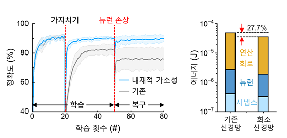 그림 3. 희소 신경망 시뮬레이션 결과. 희소 신경망은 시냅스 연결을 줄여 에너지 효율을 높일 수 있지만, 정확도가 낮아지는 한계가 있다. 뉴리스터를 적용한 희소 신경망은 기존 신경망과 유사한 정확도를 유지하면서도 에너지 소모를 줄였으며, 일부 뉴런이 손상된 경우에도 성능을 회복하는 높은 복원력을 보였다. 그림 3. 희소 신경망 시뮬레이션 결과. 희소 신경망은 시냅스 연결을 줄여 에너지 효율을 높일 수 있지만, 정확도가 낮아지는 한계가 있다. 뉴리스터를 적용한 희소 신경망은 기존 신경망과 유사한 정확도를 유지하면서도 에너지 소모를 줄였으며, 일부 뉴런이 손상된 경우에도 성능을 회복하는 높은 복원력을 보였다.