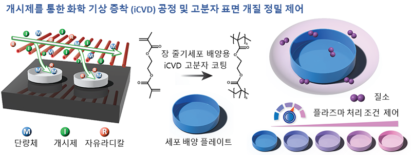 그림 1. 개시제를 통한 화학 기상 증착(iCVD) 공정을 통한 고분자 코팅 및 표면 개질 정밀 제어