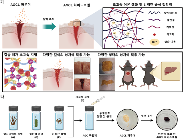 그림 1. AGCL 파우더 개발 전략과 제작 개략도