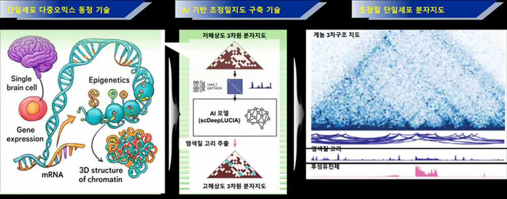 초정밀 단일세포 분자지도