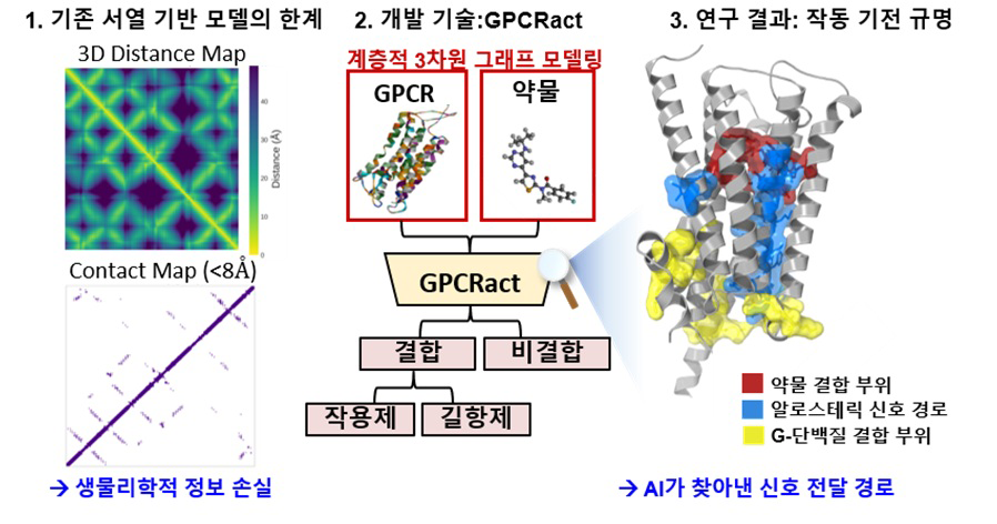 GPCRact 인공지능 모델의 약물 활성 예측 및 기전 해석 모식도