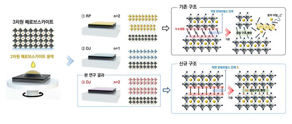 구조 형성 전략에 대한 모식도(좌) 및 구조 변화 모식도(우)