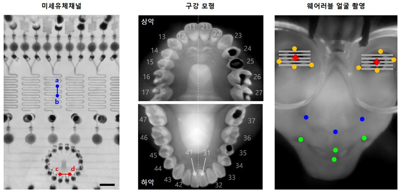 근거리에 미세유체 채널 (피사체와의 거리 20 mm), 구강 모형 (30 mm), 인체 얼굴 (50 mm) 등 실제 대상을 촬영한 결과