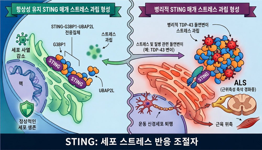 연구내용 모식도 (AI 생성이미지)