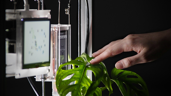 Plant.play() 시스템 측면 사진