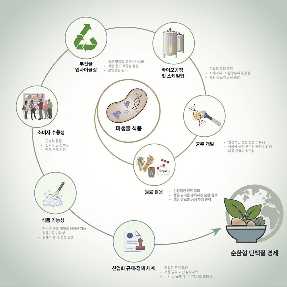 미생물 식품 산업화를 좌우하는 핵심 조건과 확장 경로를 도식화한 개념도