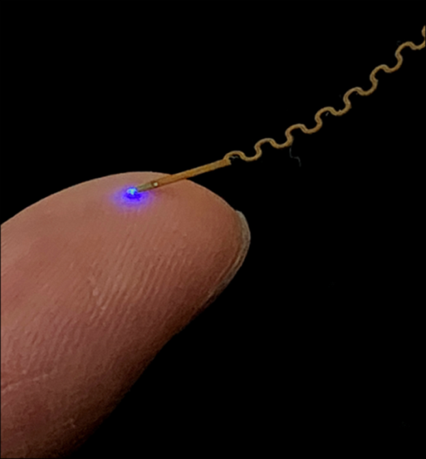 Figure 2. Implantable neural probe placed on a fingertip Figure 2. Implantable neural probe placed on a fingertip