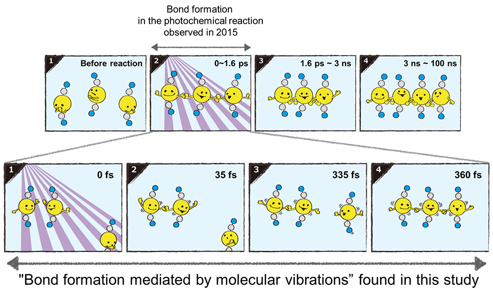 Figure 3. By inspecting the motion of the wave packet, it was revealed that the bond formation reaction in the gold trimer complex occurs through an asynchronous bond formation mechanism. (Yellow: gold atoms, gray: carbon atom, blue: nitrogen atom, 1000 times 1 fs is 1 picosecond (ps), 1000 times 1 ps is 1 nanosecond (ns))