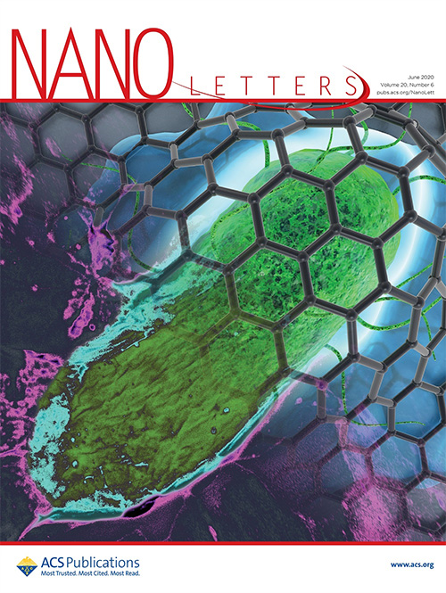  그림 4. Nano Letters 6월호 표지 이미지 