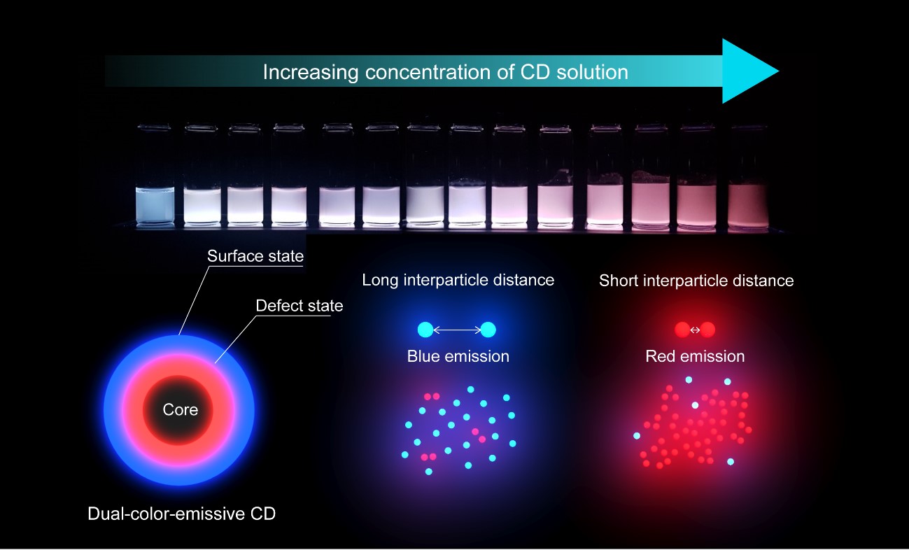 Figure. Photoluminescence change of dual-color-emissive carbon dots (CDs) depending on their concentration. Blue- and red-emissions show different contributions with different interparticle distances.