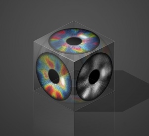 그림 2. 망막구조로부터 수평-수직관계를 형성하는 시각피질의 기능성 뇌지도들의 일러스트레이션