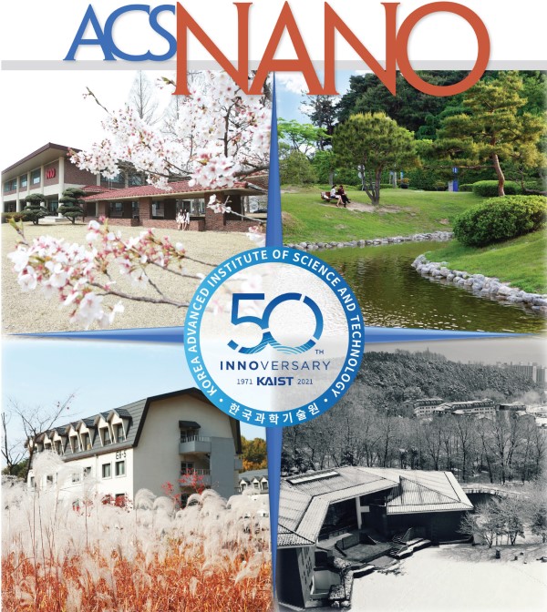 Front Cover Image of the ACS Nano Special Virtual Issue that Highlights Innovations at KAIST