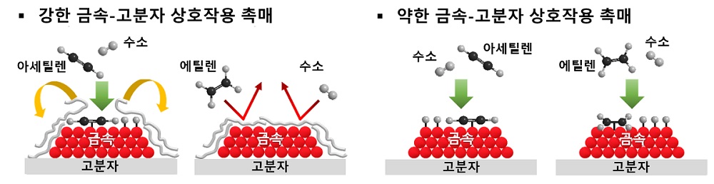 그림 1. 금속-고분자 상호작용에 따른 아세틸렌 및 에틸렌 수소화 반응 모식도