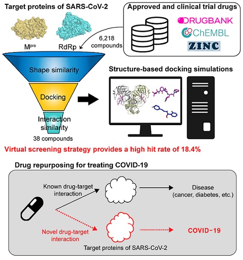 Figure: A schematic representation of computational drug repurposing strategy. Docking-based virtual screening can rapidly identify novel compounds for COVID-19 treatment among from the collection of approved and clinical trial drugs. 