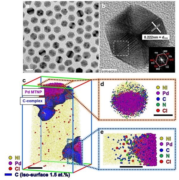 그림 1. 투과 전자현미경과 원자 단층 촬영 현미경으로 분석한 팔라듐 나노입자와 리간드 분포