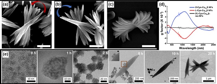 Figure 1. Self-assembly of Cu2S NPs to NFs and chiroptical properties of NFs. (a-c) Scanning electron microscopy (SEM) images of NFs assembled from (a) L-Cys-, (b) D-Cys-, and (c) DL-Cys-Cu2S NPs. (d) Circular Dichroism (CD) spectra of NFs shown in (a-c), which shows chiroptical activity in the UV-SWIR region. (e) Transmission electron microscopy (TEM) images of different stages during NFs formation, NPs (0 h) assembled into NFs (20 h) through supraparticles (1 h, 2 h) and nanoleaves (5 h, 10 h). 