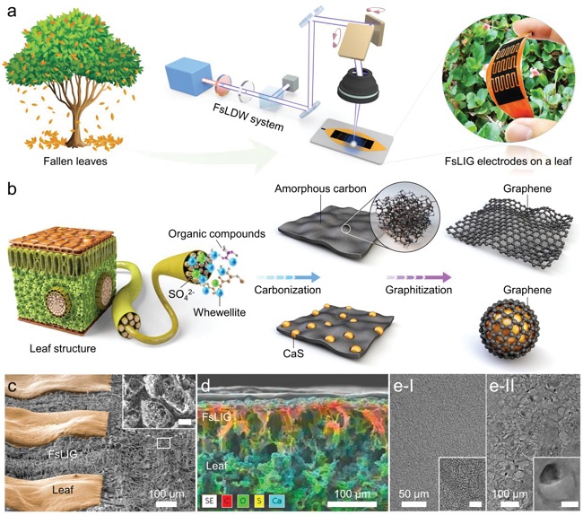 Image: The schematic illustration of the production of femtosecond laser-induced graphene.