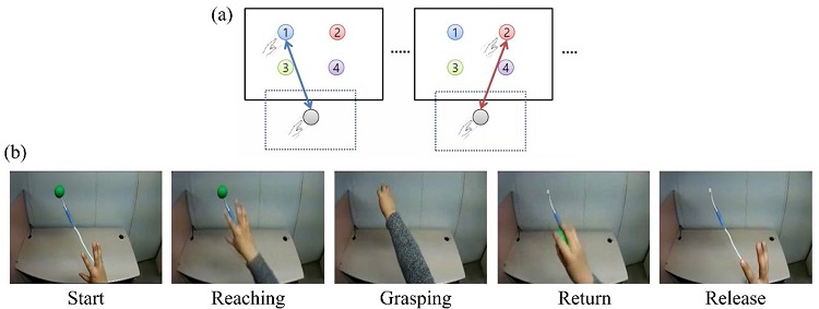Figure: Experimental paradigm. Subjects were instructed to perform reach-and-grasp movements to designate the locations of the target in three-dimensional space. (a) Subjects A and B were provided the visual cue as a real tennis ball at one of four pseudo-randomized locations. (b) Subjects A and B were provided the visual cue as a virtual reality clip showing a sequence of five stages of a reach-and-grasp movement.
