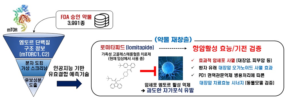 그림 1. 약물 가상 스크리닝 기술을 이용한 로미타피드 항암효능 개발
