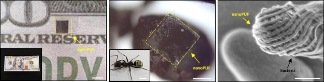 그림 2. 나노 크기의 소형화를 통해 지폐, 개미, 박테리아 위에 부착된 나노 지문 패턴 이미지