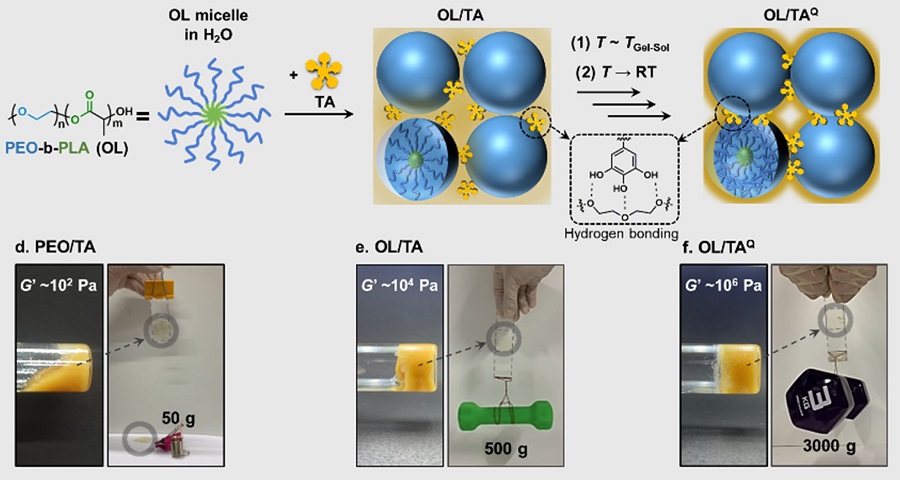 Figure 1. Biodegradable Block Copolymer–Tannic Acid Glue