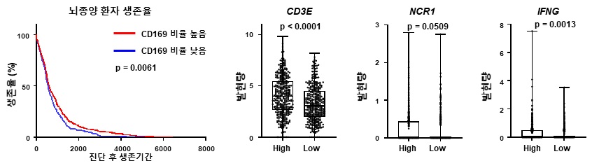 CD169를 발현하는 대식세포가 많은 환자의 생존이 증가하고 이들 환자(High)에서 T 세포 면역반응의 지표가 증가함