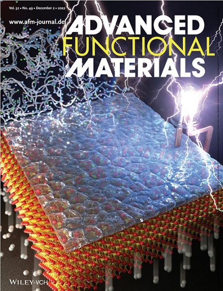 그림 4. Advanced Functional Materials 저널 앞표지 (Front Cover)